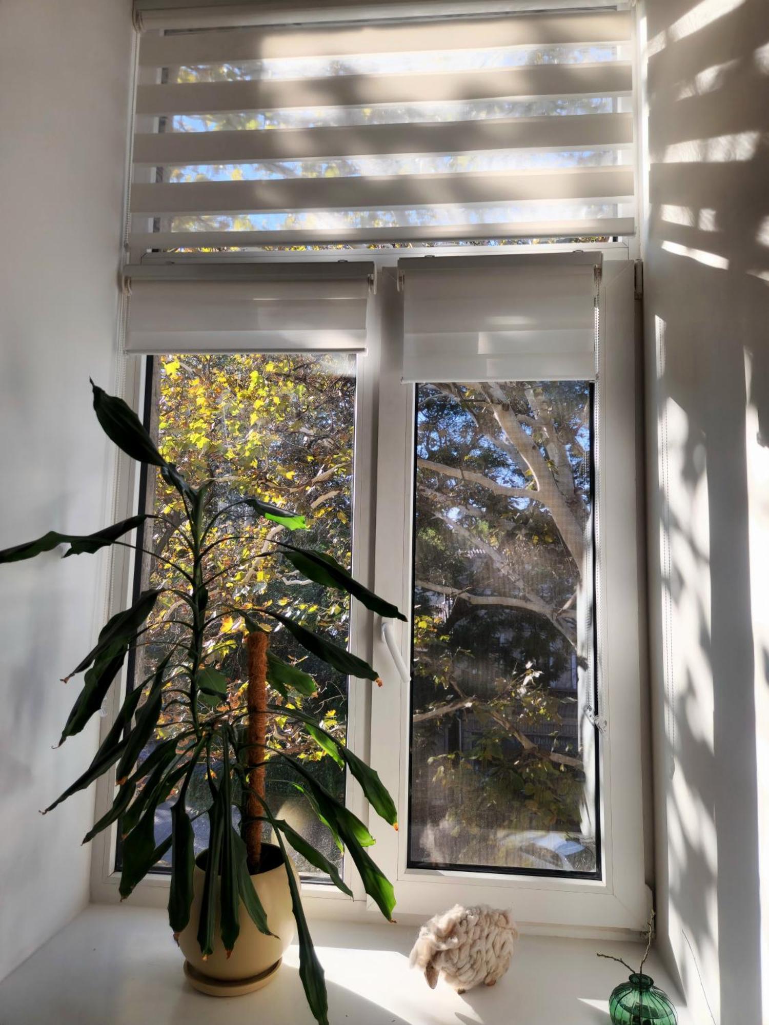 Scandi Group Apartaments Odessa Quarto foto